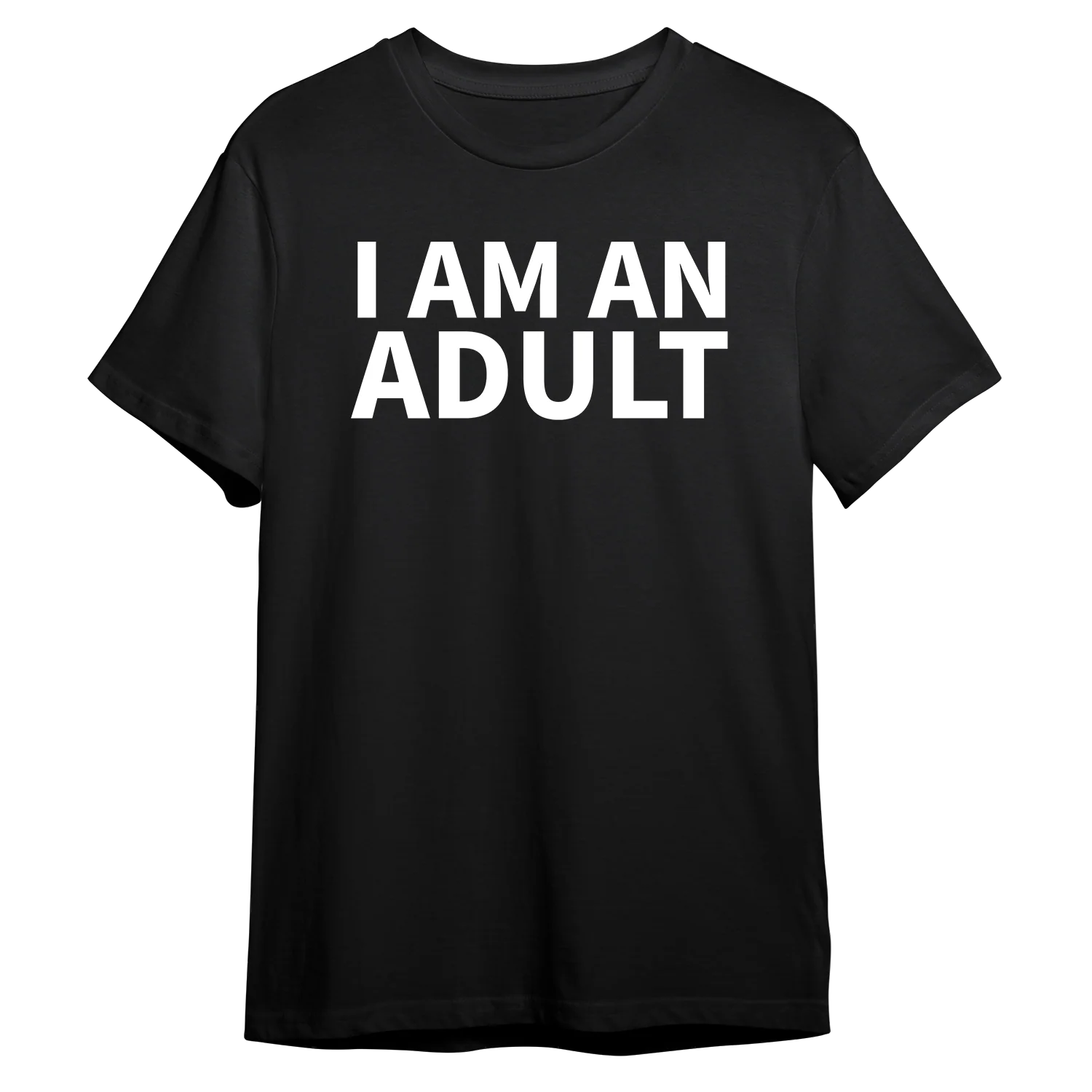 I Am An Adult - Image 2